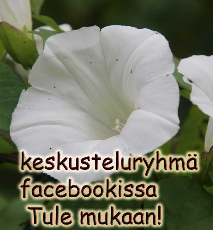 keskusteluryhmä