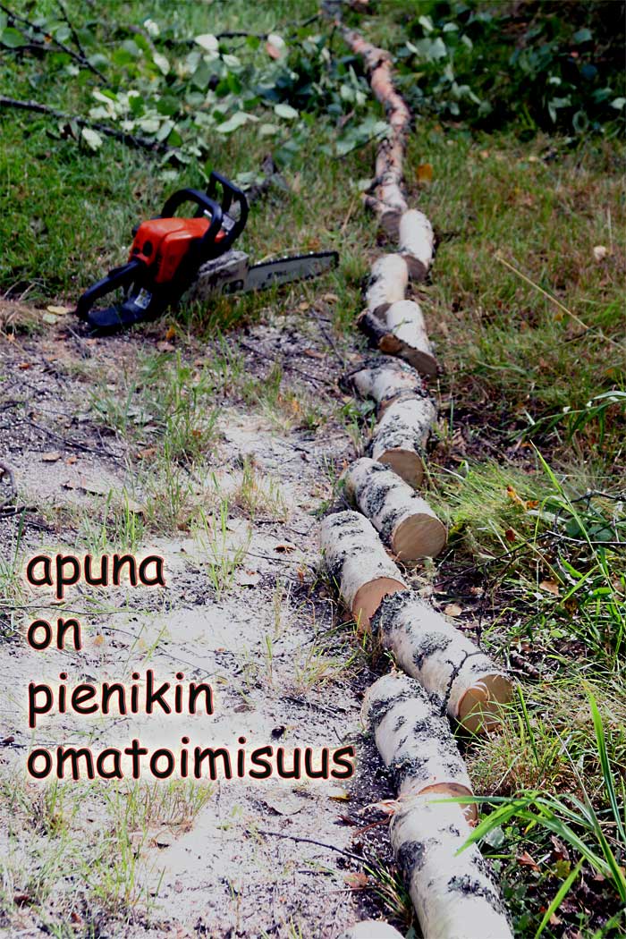 puukatkottuna