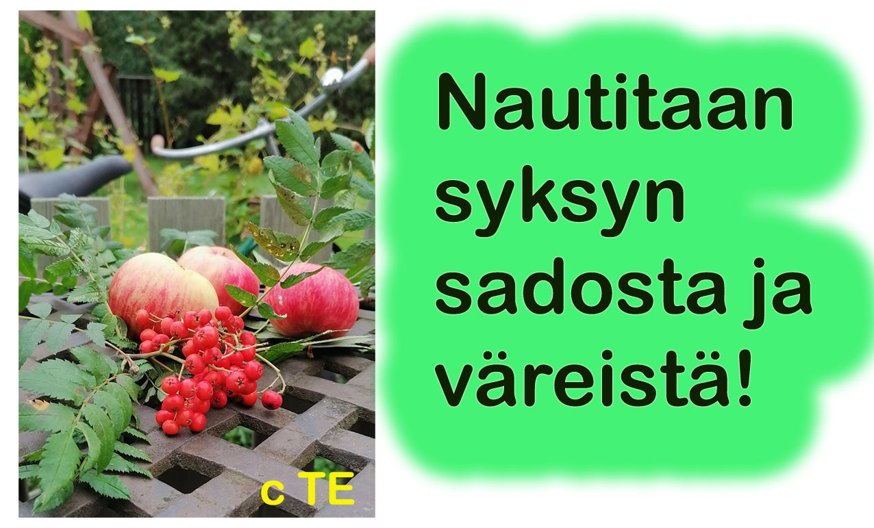 yksyn varia sivutielle kopio